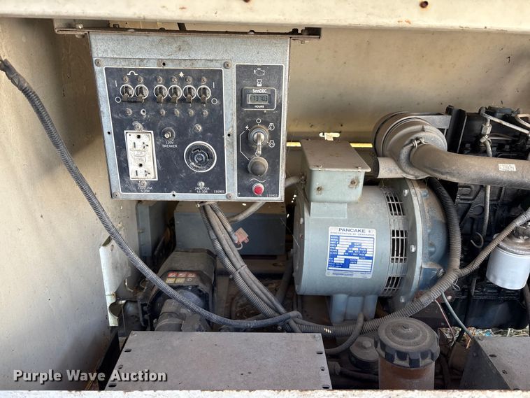 image for item DT2789 (4) light plants