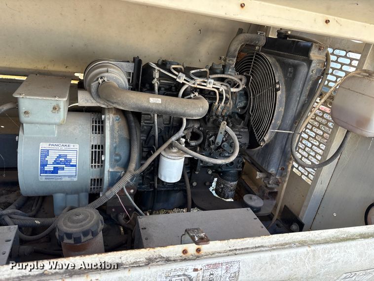 image for item DT2789 (4) light plants