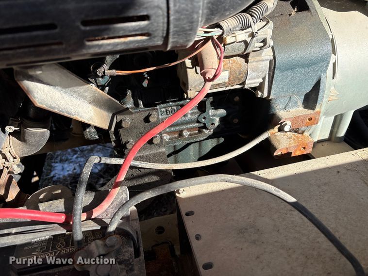 image for item DT2789 (4) light plants