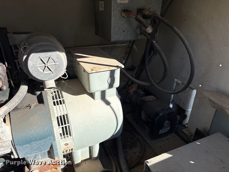 image for item DT2789 (4) light plants