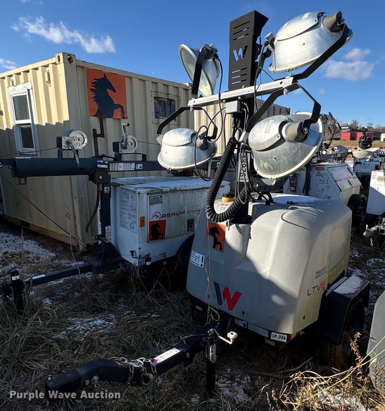 image for item DT2789 (4) light plants