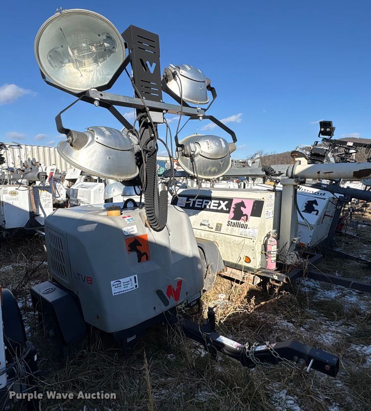 image for item DT2789 (4) light plants