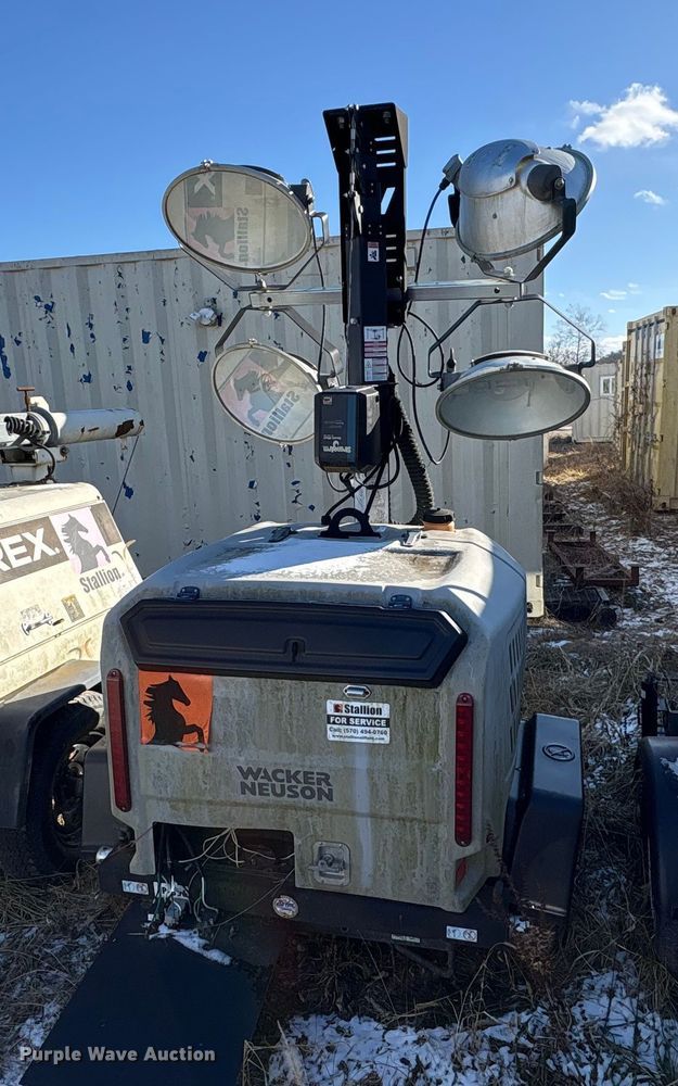 image for item DT2789 (4) light plants