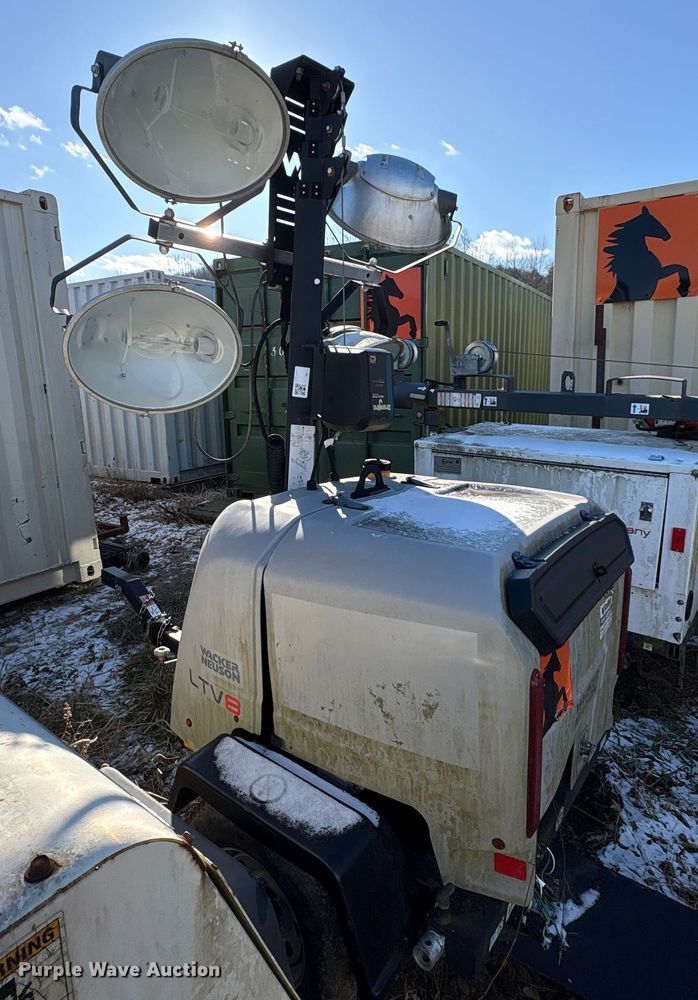 image for item DT2789 (4) light plants