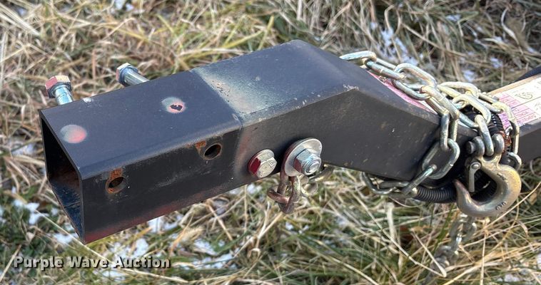 image for item DT2789 (4) light plants