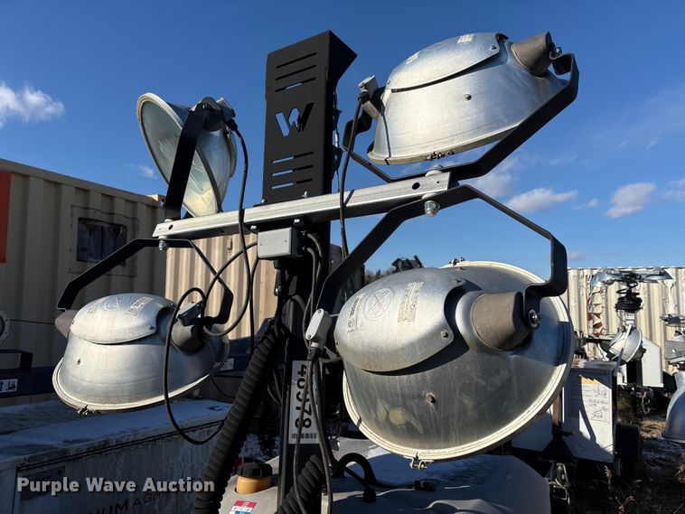 image for item DT2789 (4) light plants