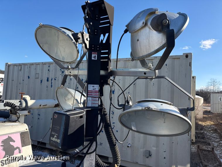 image for item DT2789 (4) light plants