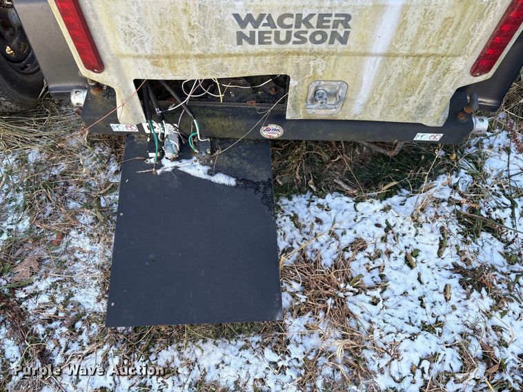 image for item DT2789 (4) light plants