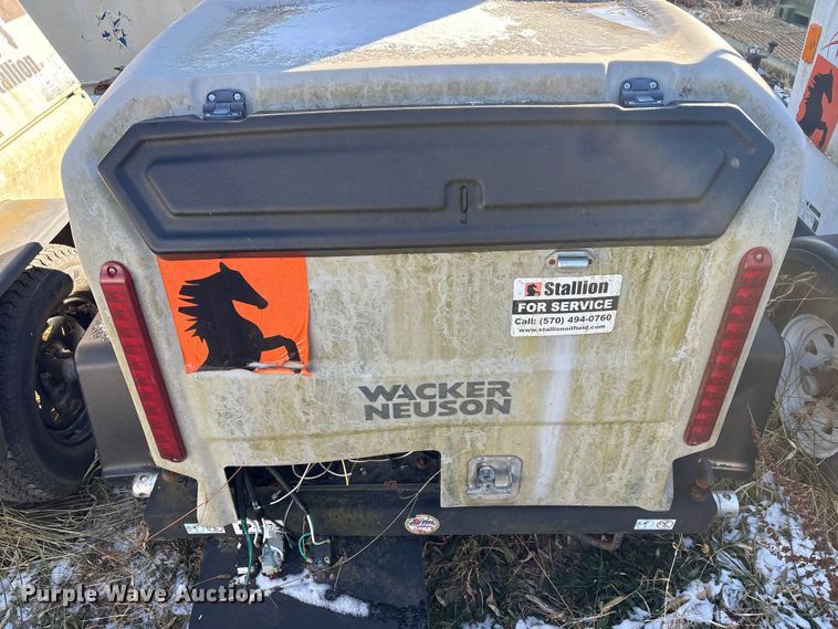 image for item DT2789 (4) light plants