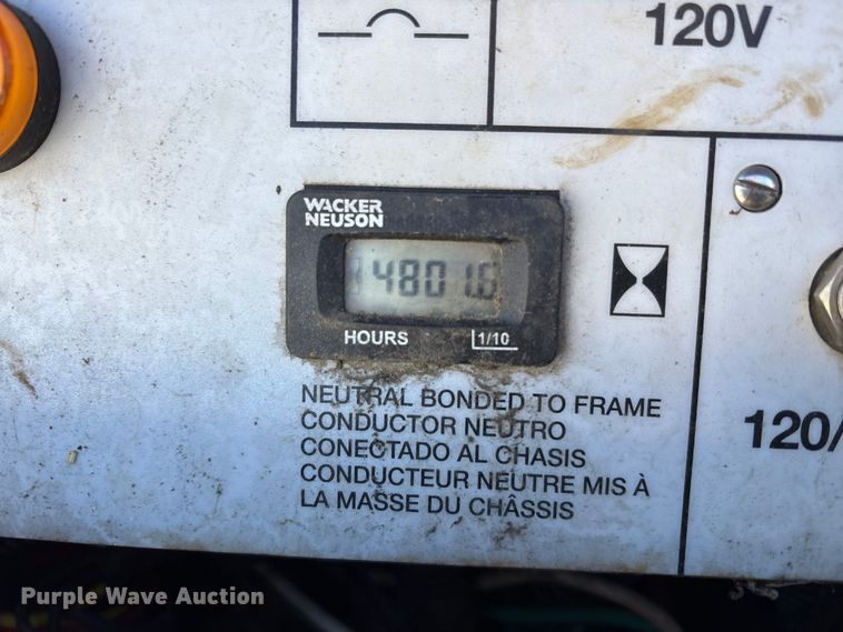 image for item DT2789 (4) light plants