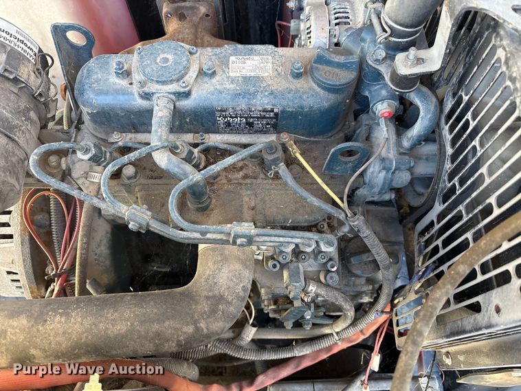 image for item DT2789 (4) light plants