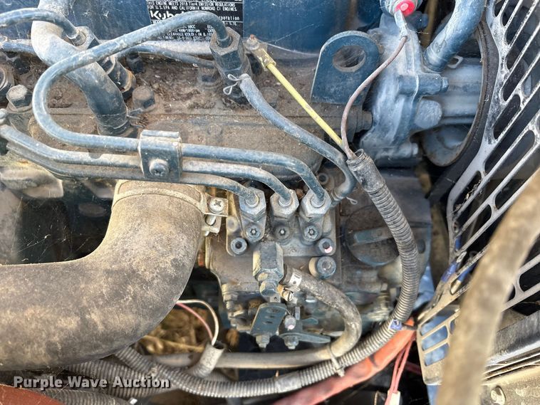 image for item DT2789 (4) light plants