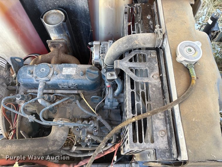 image for item DT2789 (4) light plants