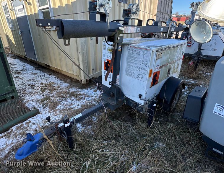 image for item DT2789 (4) light plants