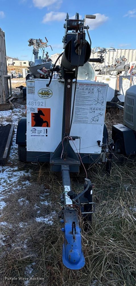 image for item DT2789 (4) light plants