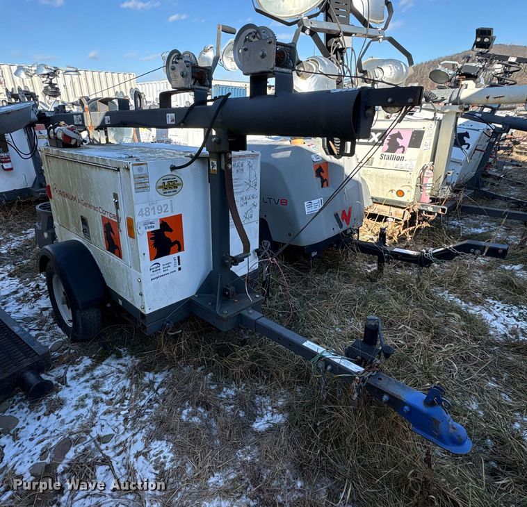 image for item DT2789 (4) light plants