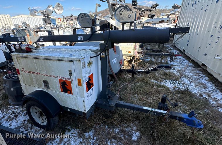 image for item DT2789 (4) light plants