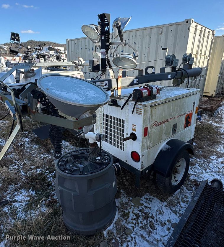 image for item DT2789 (4) light plants