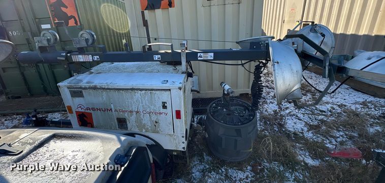 image for item DT2789 (4) light plants