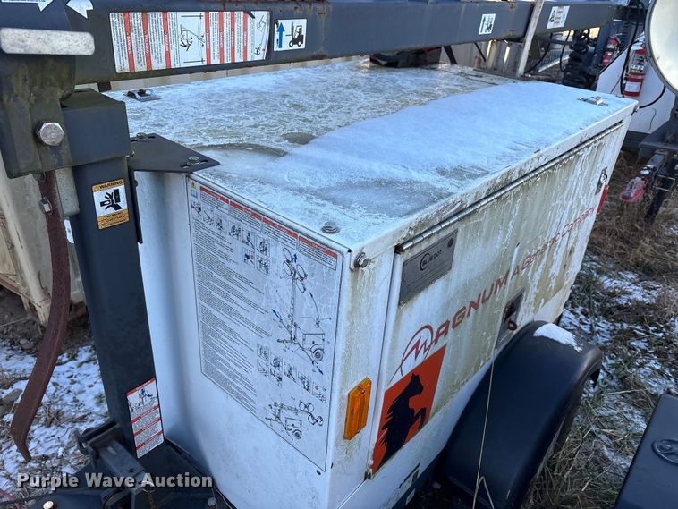 image for item DT2789 (4) light plants