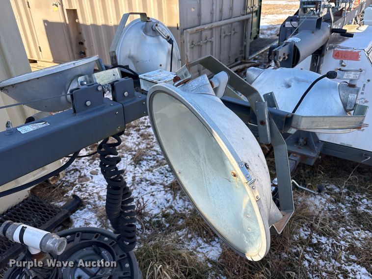 image for item DT2789 (4) light plants