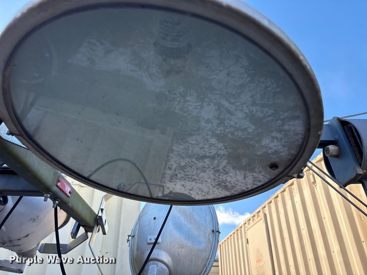 image for item DT2789 (4) light plants