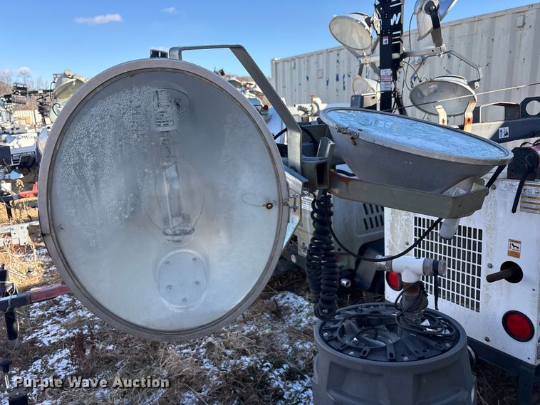 image for item DT2789 (4) light plants