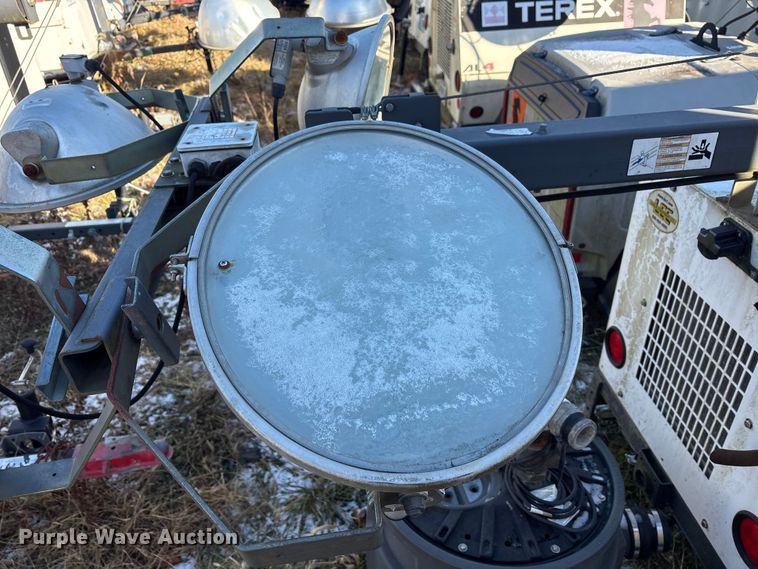 image for item DT2789 (4) light plants