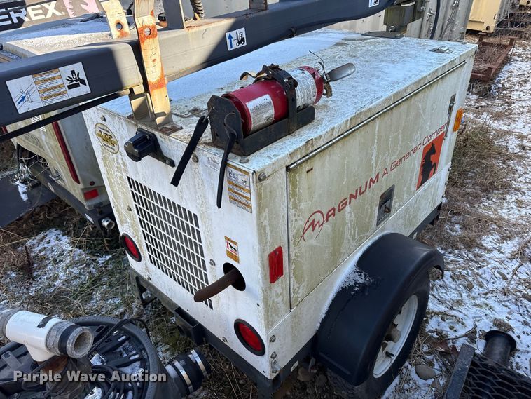 image for item DT2789 (4) light plants