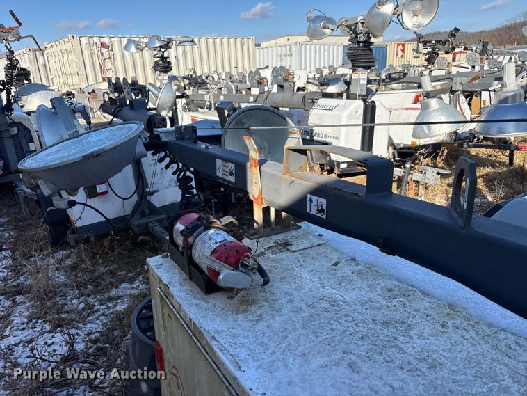 image for item DT2789 (4) light plants