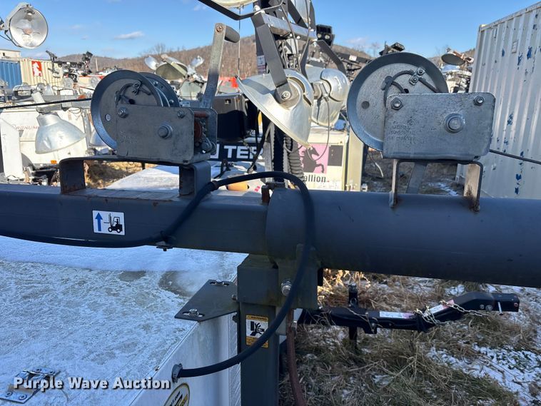 image for item DT2789 (4) light plants