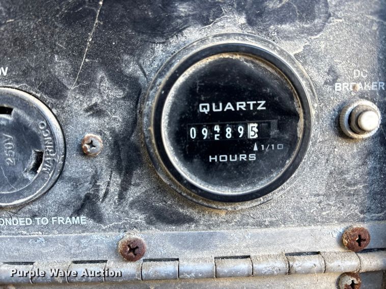 image for item DT2789 (4) light plants