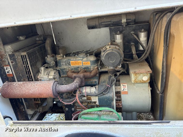 image for item DT2789 (4) light plants