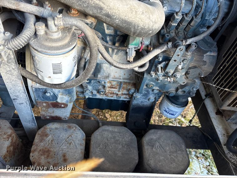 image for item DT2789 (4) light plants