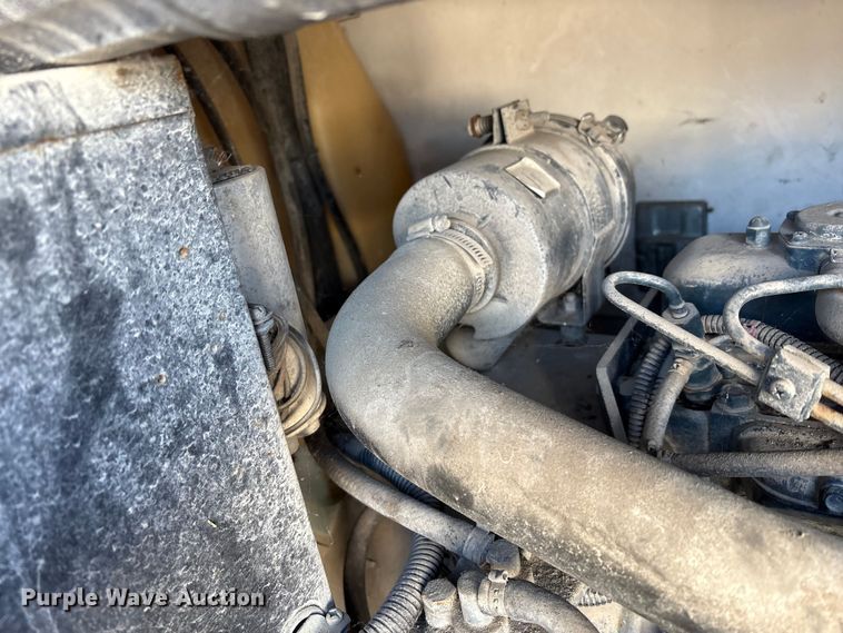 image for item DT2789 (4) light plants