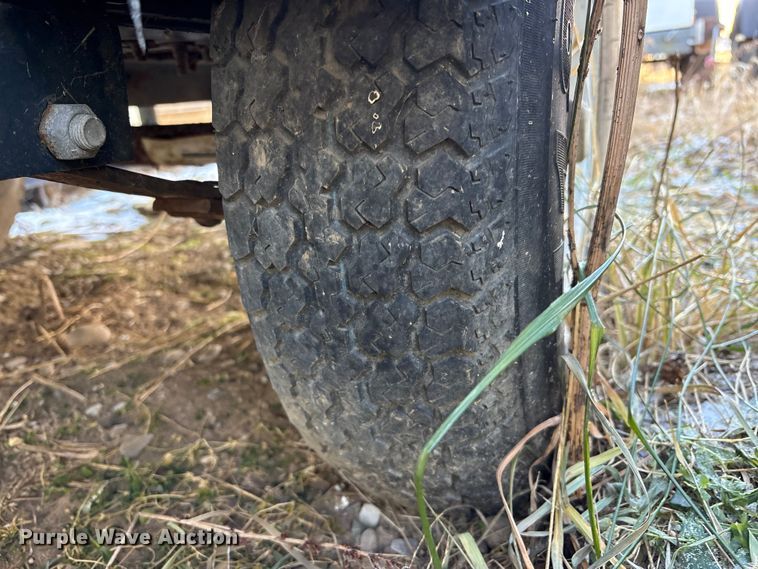 image for item DT2789 (4) light plants