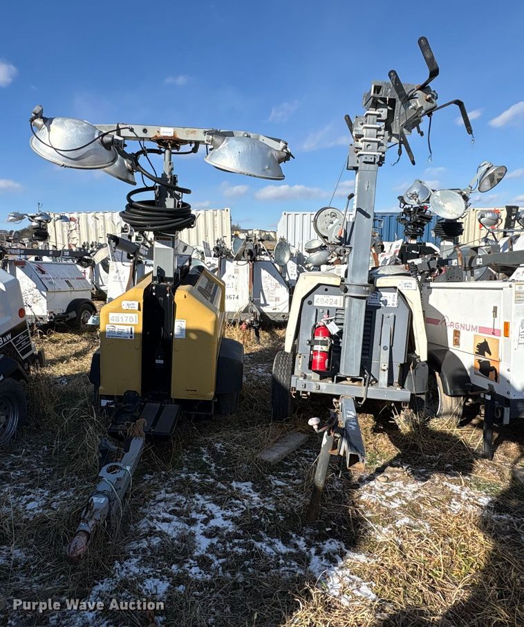 image for item DT2791 (2) light plants