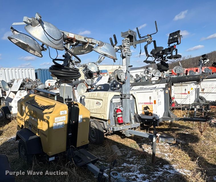 image for item DT2791 (2) light plants