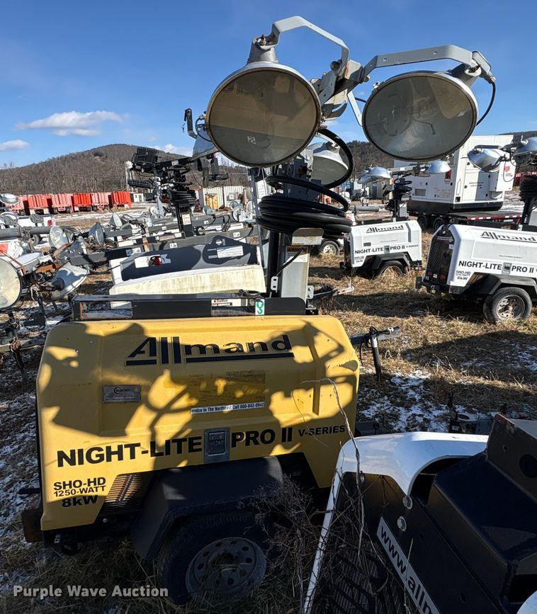 image for item DT2791 (2) light plants