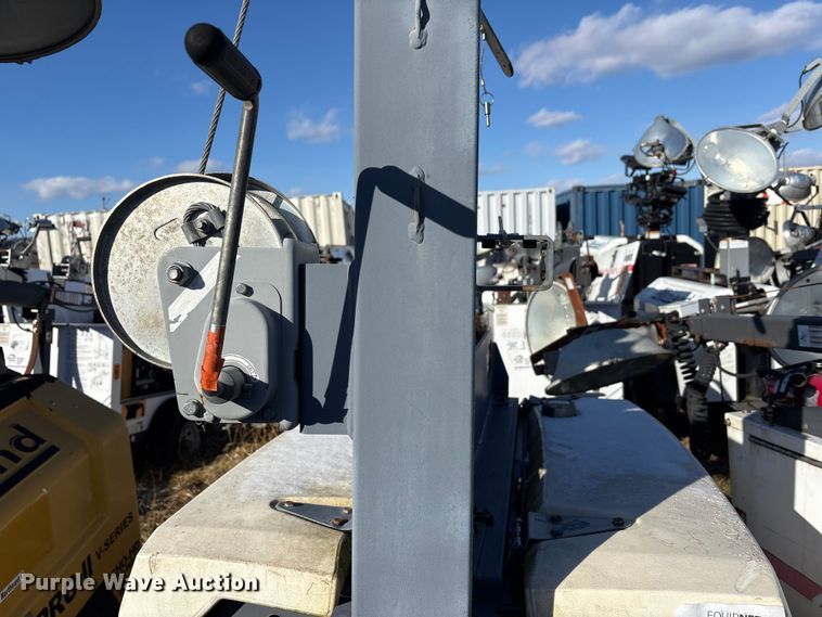 image for item DT2791 (2) light plants