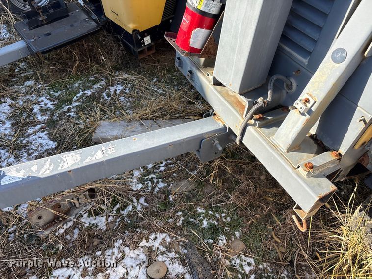 image for item DT2791 (2) light plants