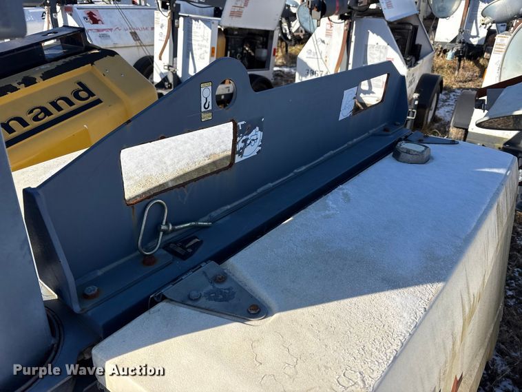 image for item DT2791 (2) light plants