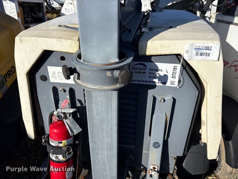 image for item DT2791 (2) light plants