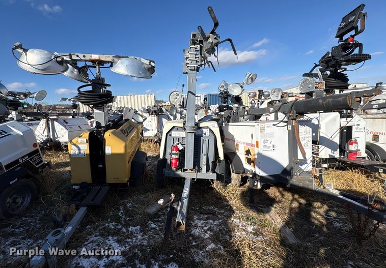 image for item DT2791 (2) light plants