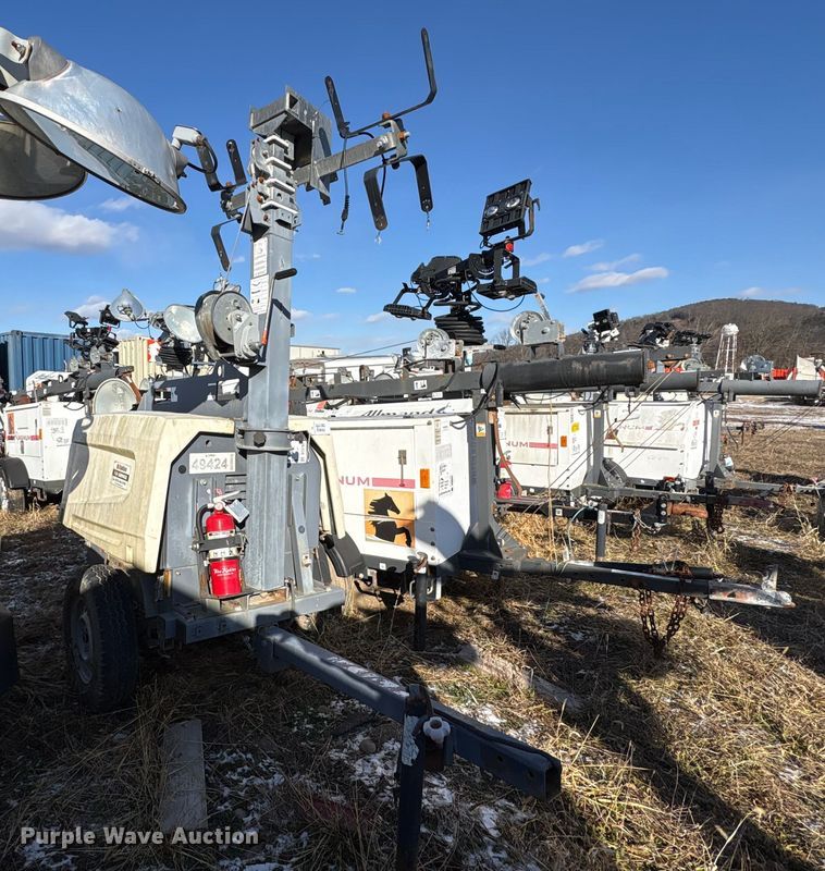 image for item DT2791 (2) light plants