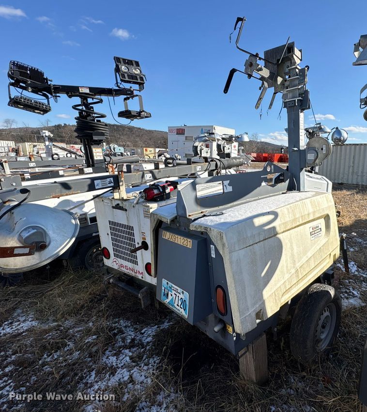 image for item DT2791 (2) light plants