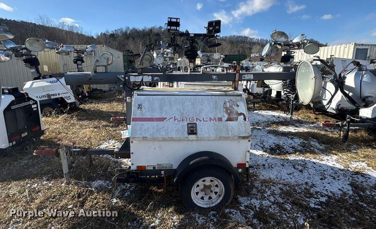 image for item DT2795  (4) light plants