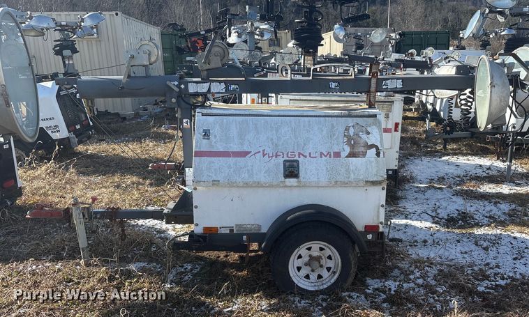 image for item DT2795  (4) light plants