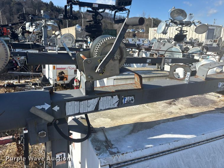 image for item DT2795  (4) light plants