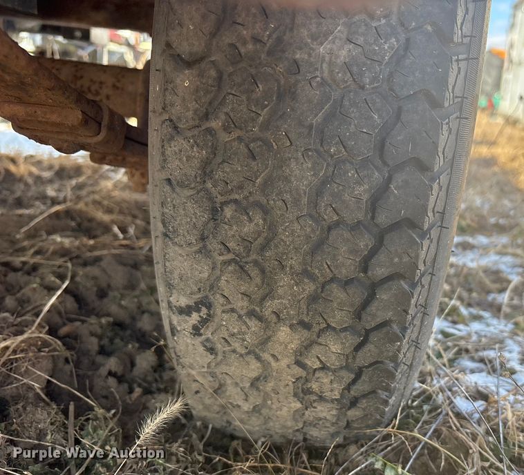 image for item DT2795  (4) light plants